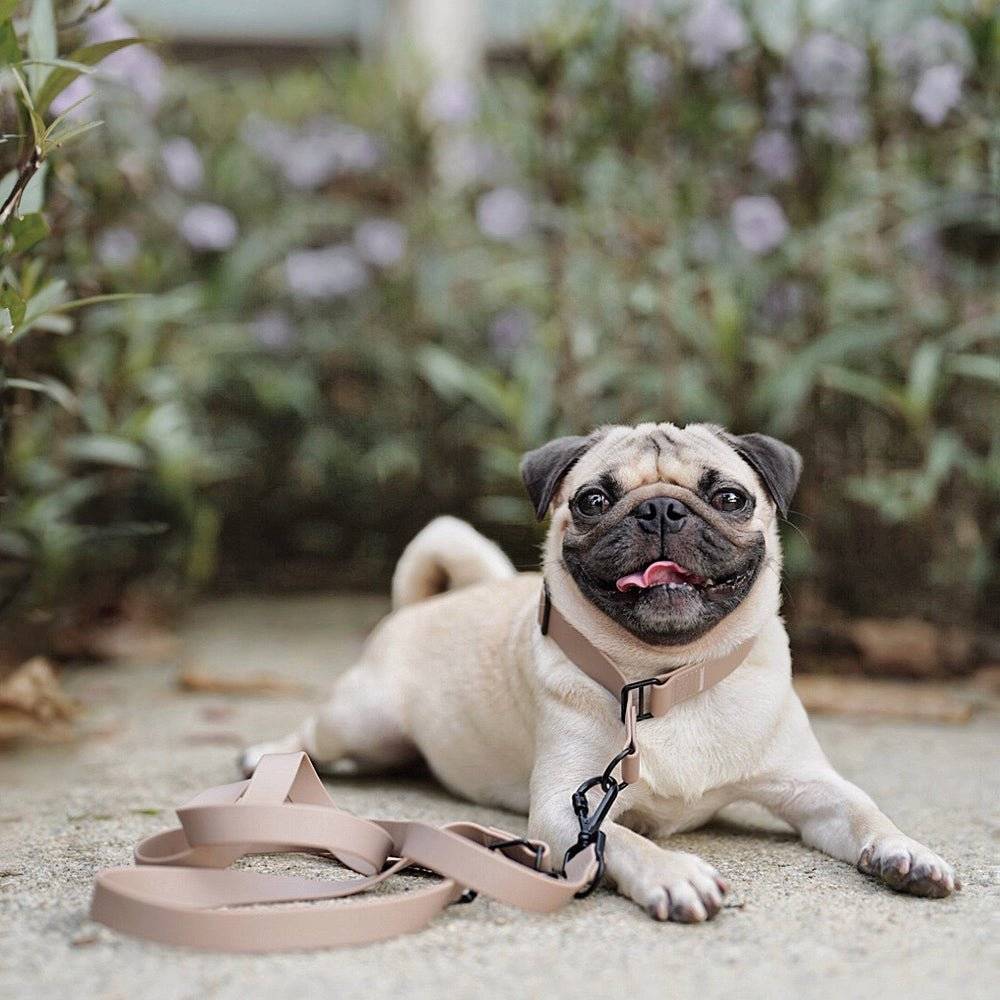 3 GIFTS CHRISTMAS - 5-1 product photo